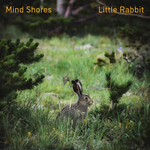 午夜男操女视频
