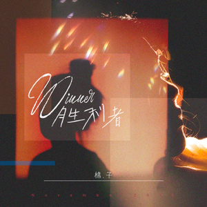 午夜男操女视频
