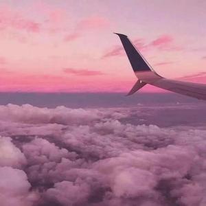 午夜男操女视频
