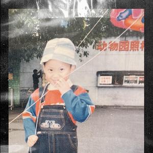 午夜男操女视频
