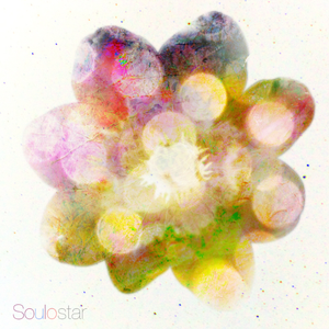 午夜男操女视频
